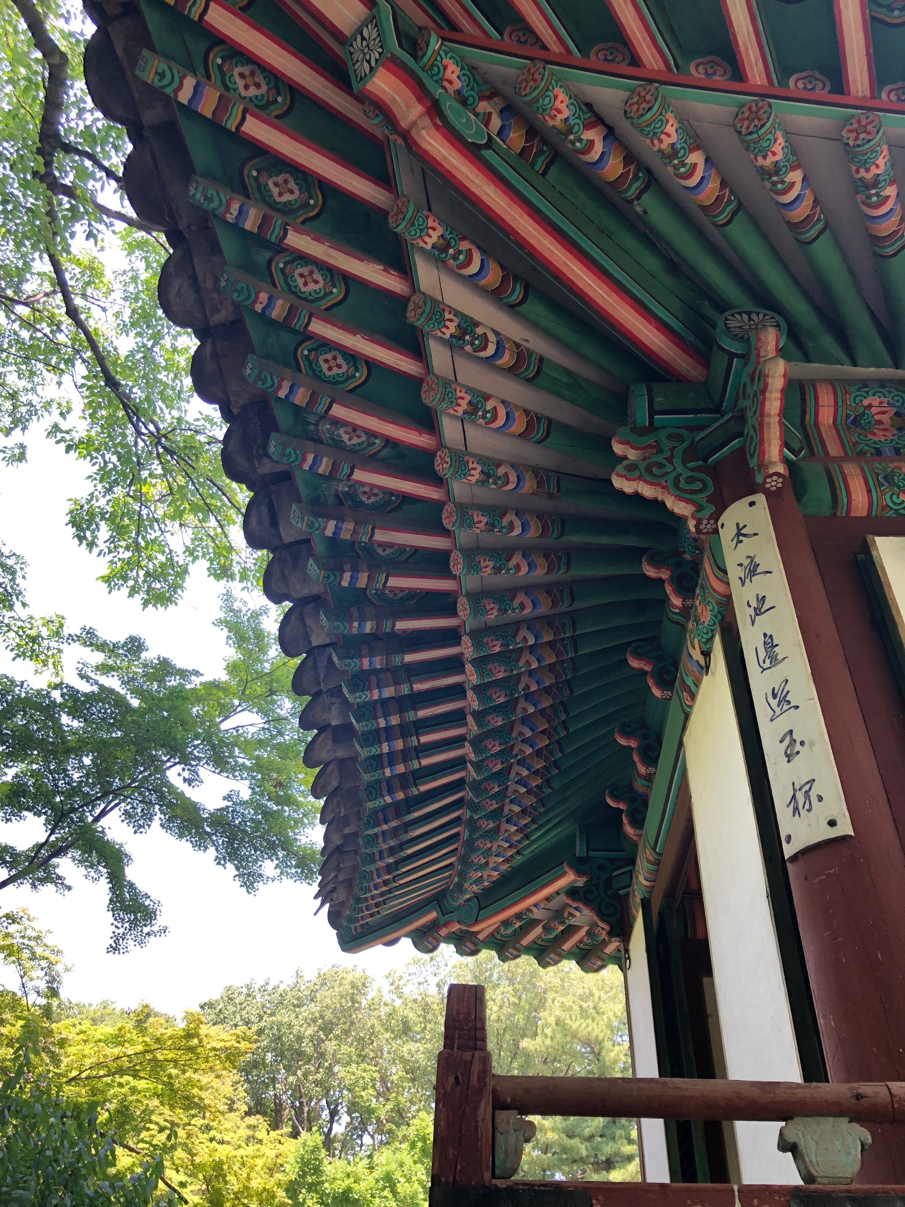 창덕궁 후원 처마 — 여름, 단청의 색이 나뭇잎 초록과 어우러진다